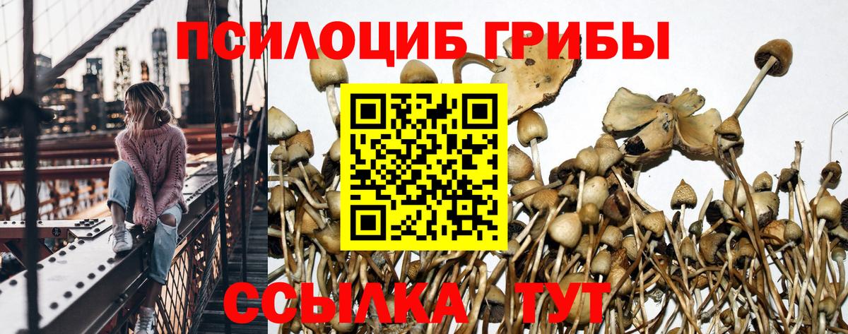 Псилоцибиновые грибы Psilocybine cubensis  Вход с VPN  Коломна  Псилоцибиновые грибы ЛСД 