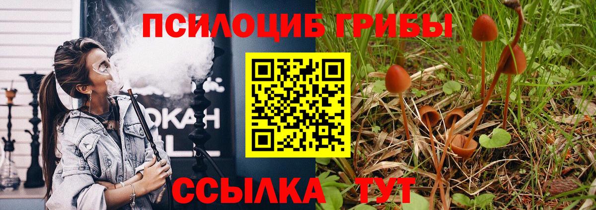 Галлюциногенные грибы Cubensis Коломна